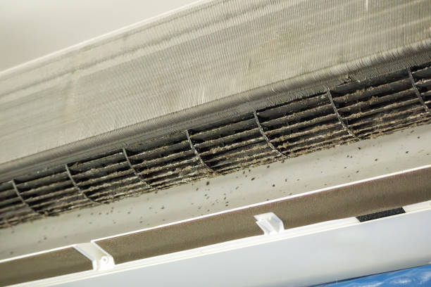 Best HVAC System Cleaning  in Buffalo, MO