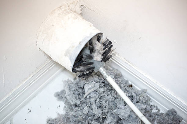 Best Professional Duct Cleaning Services  in Buffalo, MO